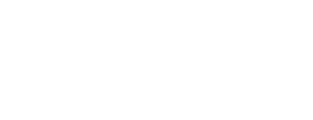 ValuOptions logo representing behavioral health and wellness services.